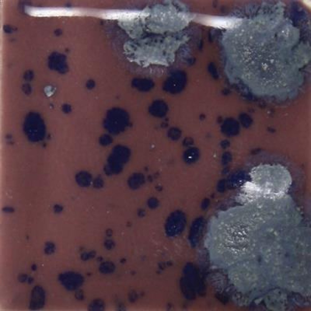 Berryberry Pie - 4oz - Crystal Glaze